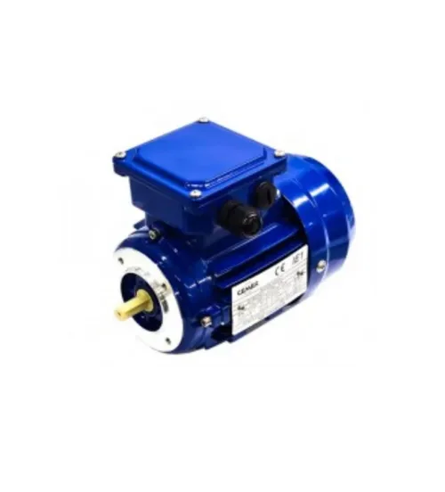 Motor asador MR
