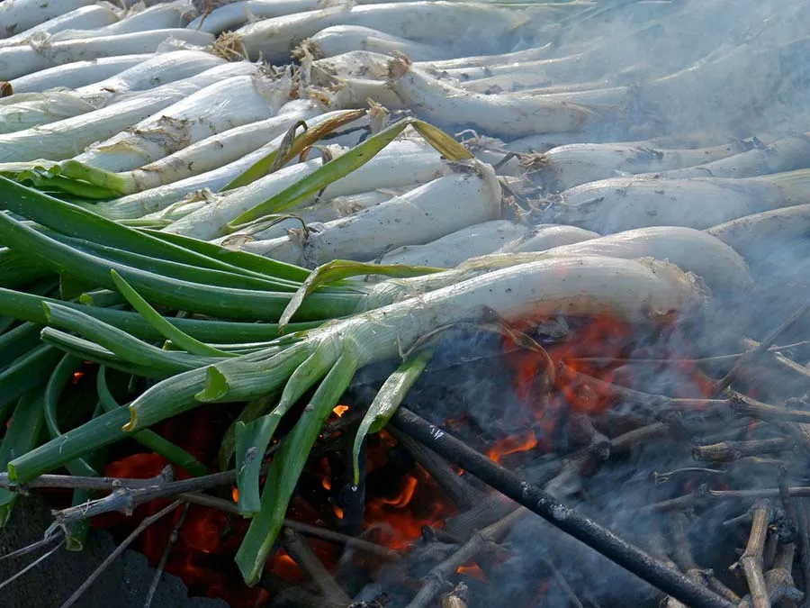 El calçot: protagonista de las barbacoas para restaurantes El calçot: protagonista de las barbacoas para restaurantes